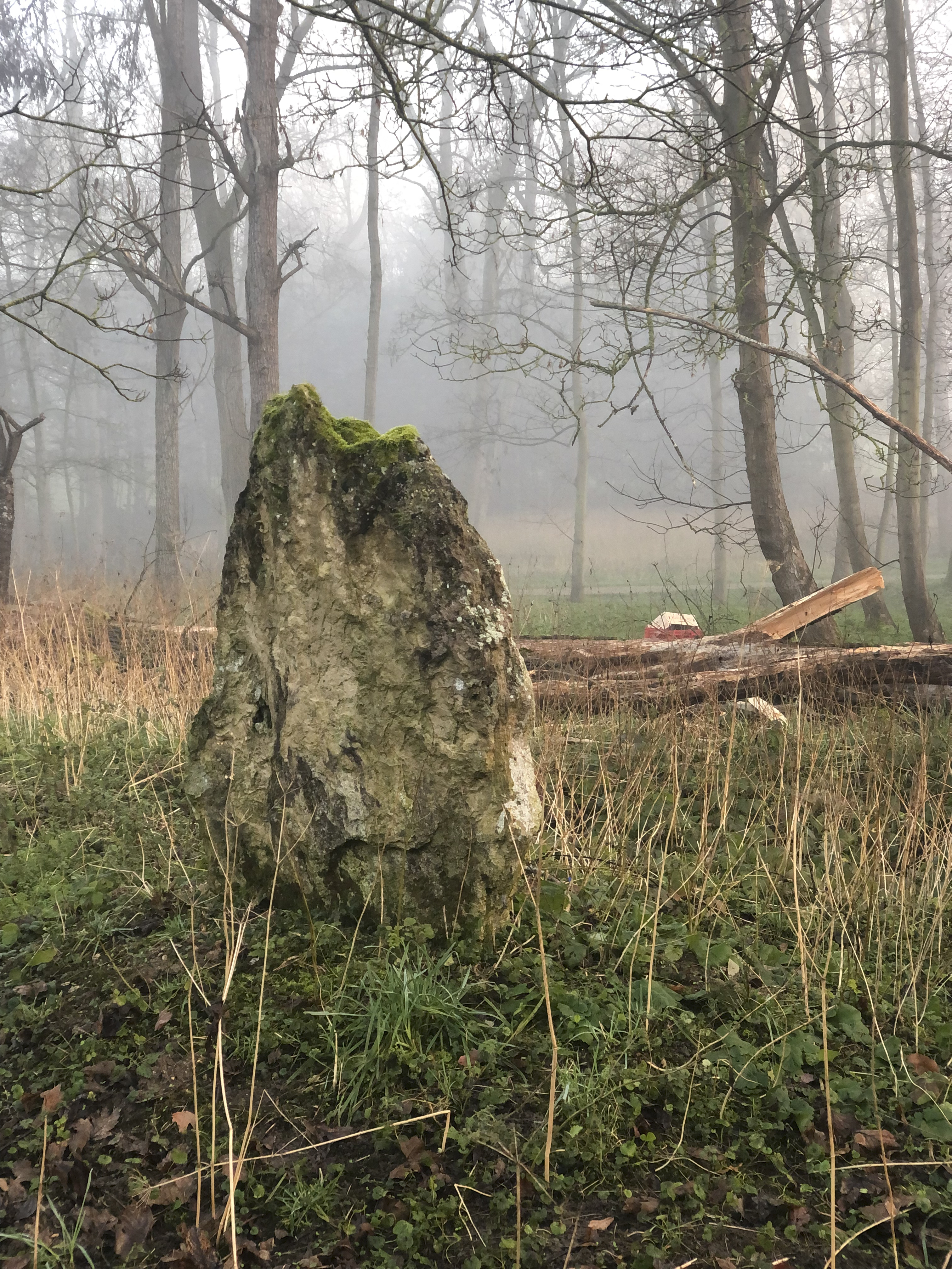 Pierre élevée en pleine forêt
