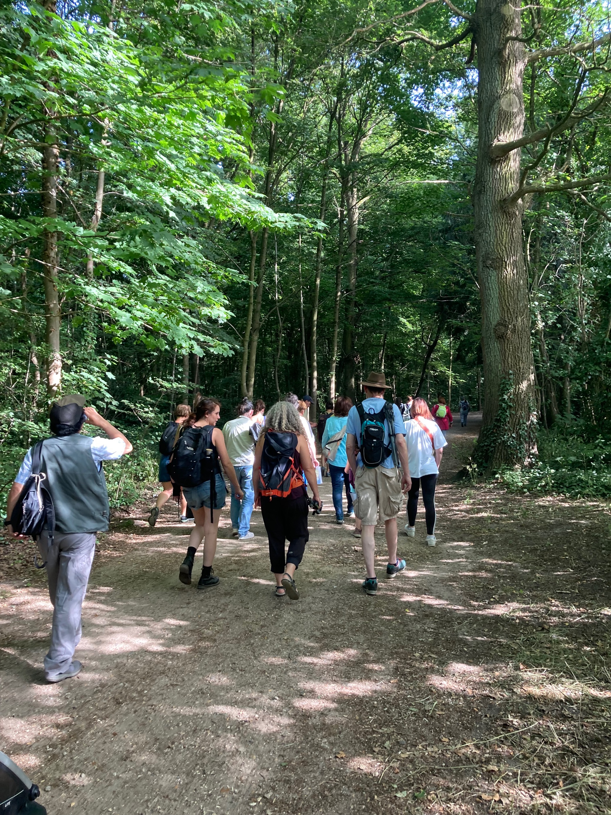 personnes qui randonnent dans la nature (vue de dos)