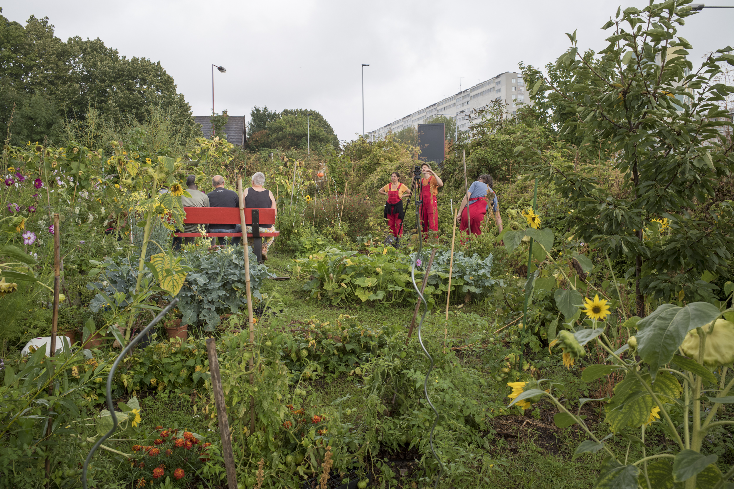 banc rouge de la compagnie KMK au beau milieu d'un jardin fleuri