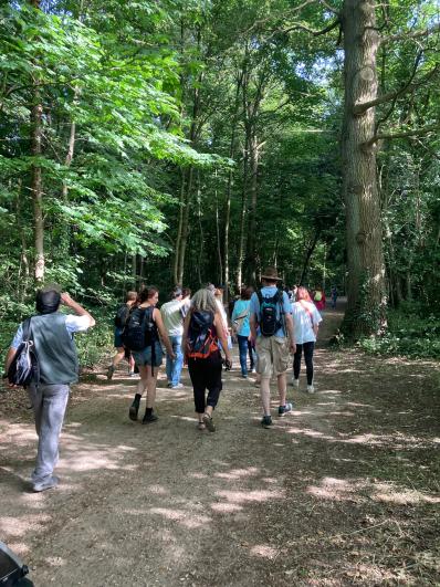 personnes qui randonnent dans la nature (vue de dos)