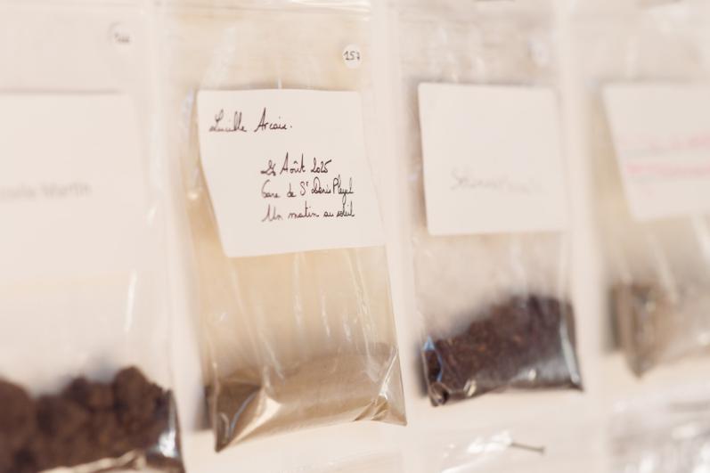 Restitution du chantier partagé La Terre qui m'est chair