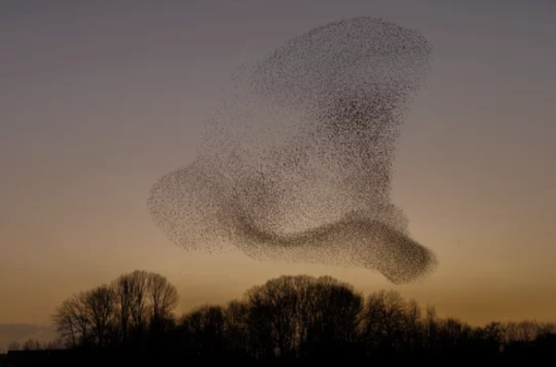 Inspirations projet tandem Gare Polytechnique