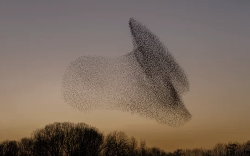 Inspirations projet tandem Gare Polytechnique